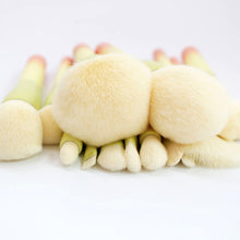 Load image into Gallery viewer, Makeup Brushes Set